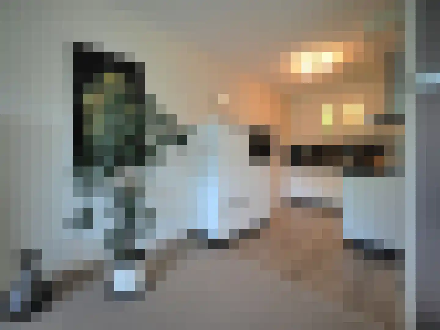 Slobbengorsweg 117 Papendrecht thumbnail 28