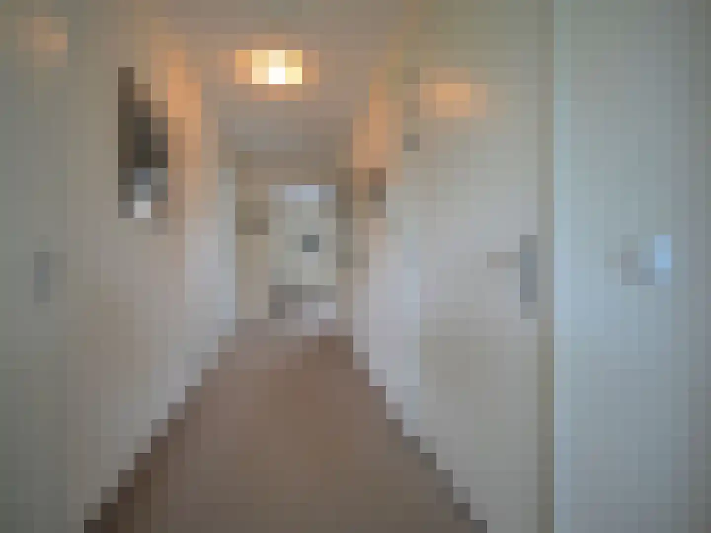 Slobbengorsweg 117 Papendrecht thumbnail 32