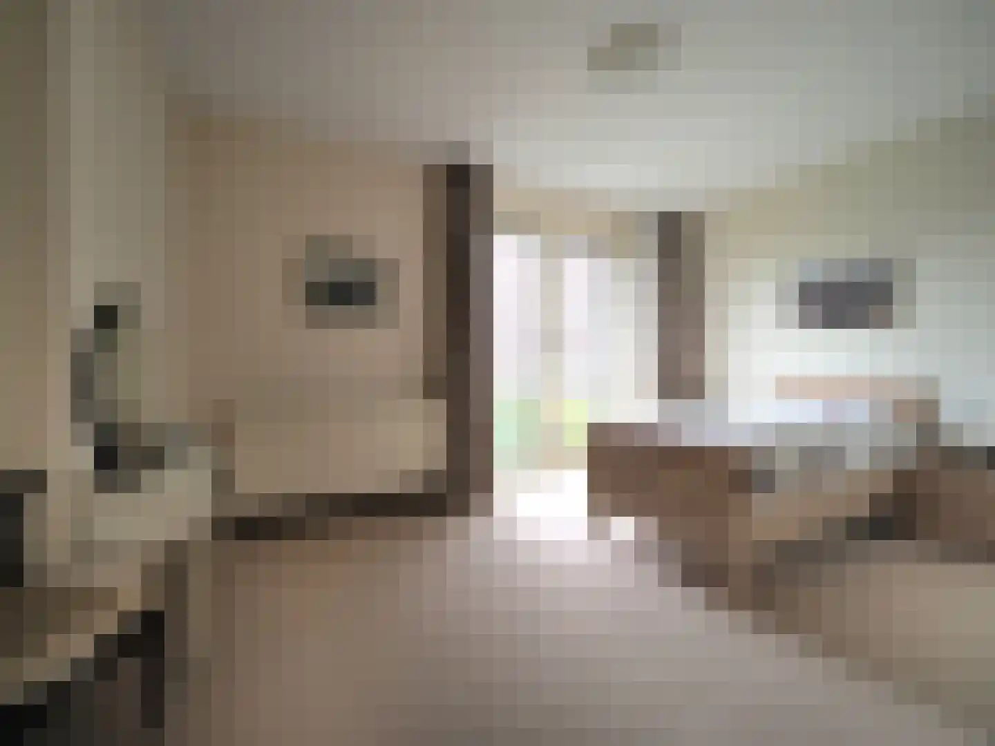 Slobbengorsweg 117 Papendrecht thumbnail 33