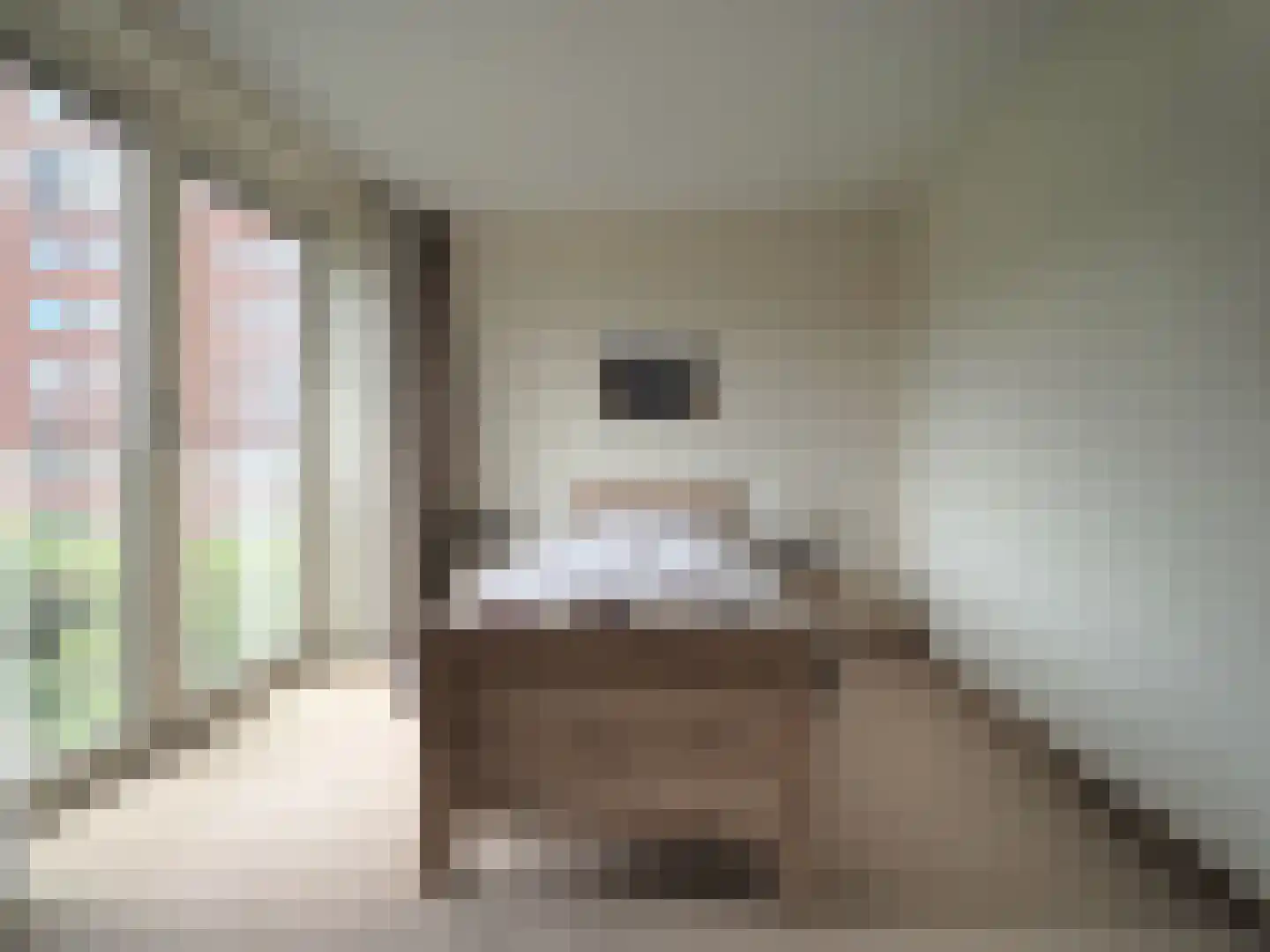 Slobbengorsweg 117 Papendrecht thumbnail 34