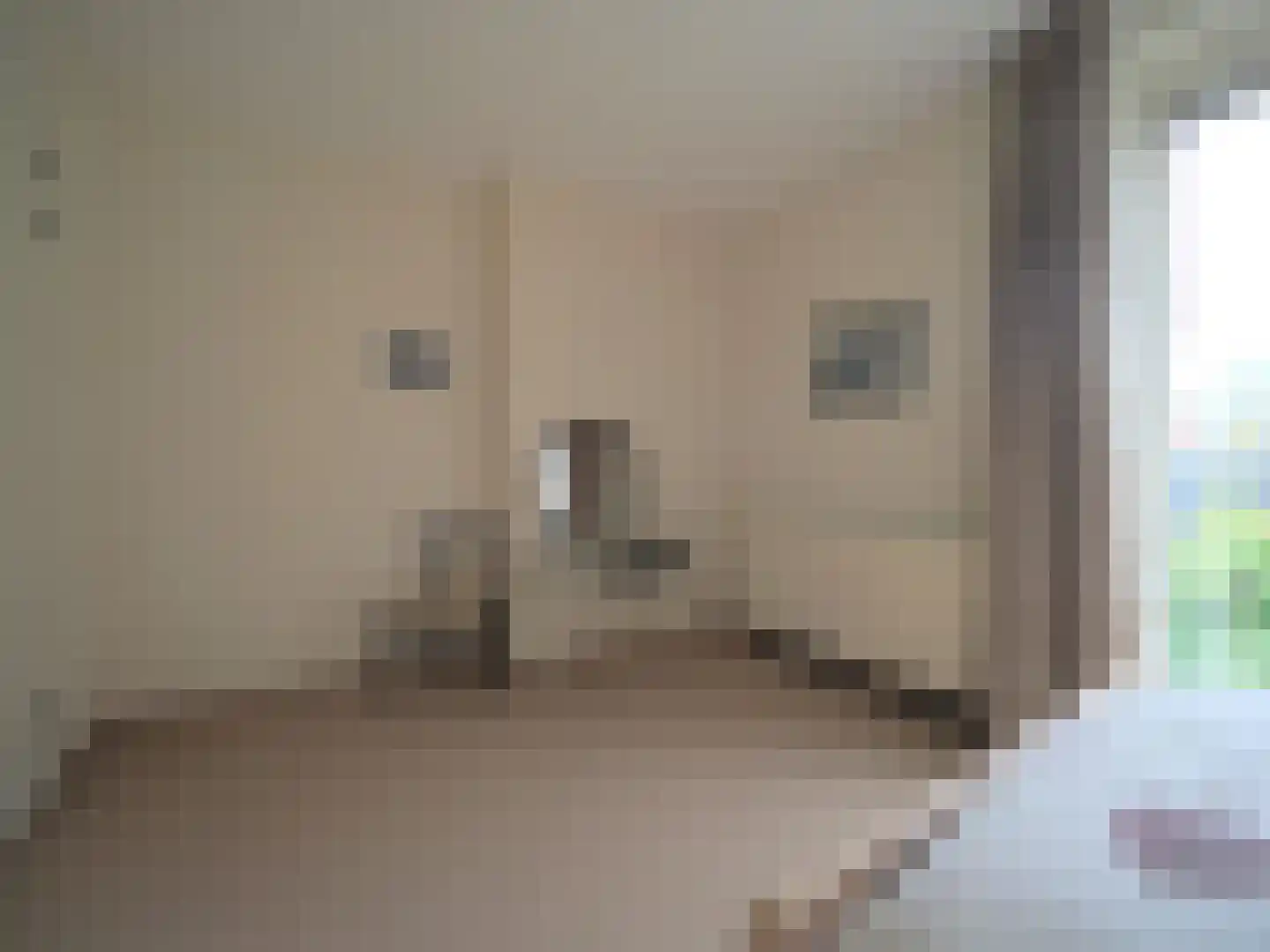 Slobbengorsweg 117 Papendrecht thumbnail 36