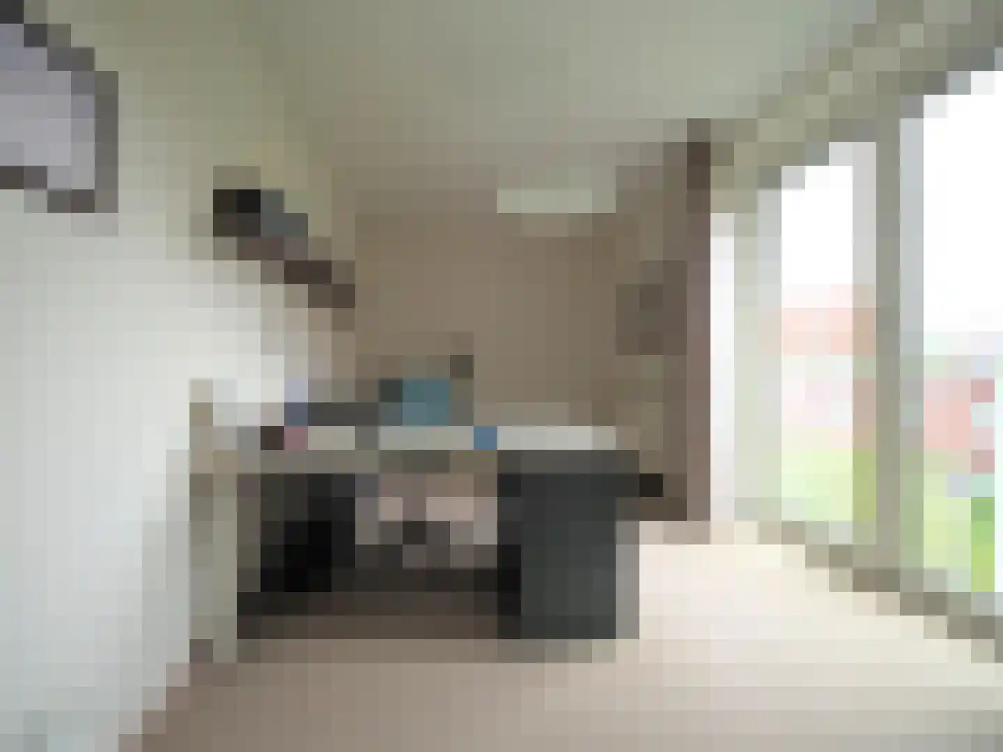Slobbengorsweg 117 Papendrecht thumbnail 37