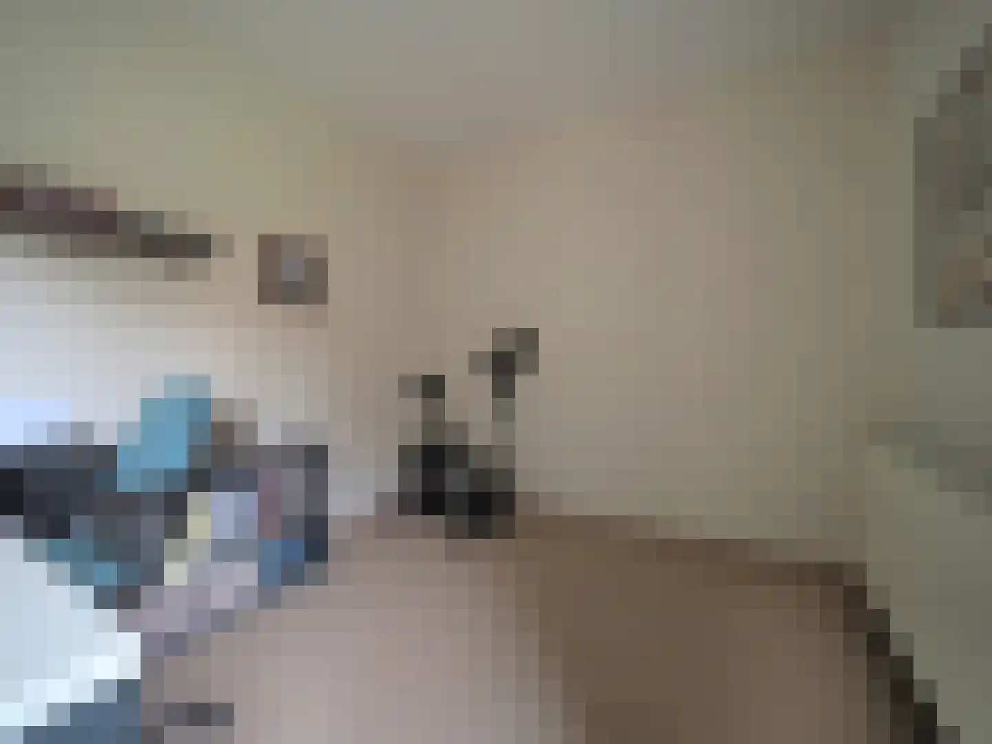Slobbengorsweg 117 Papendrecht thumbnail 38
