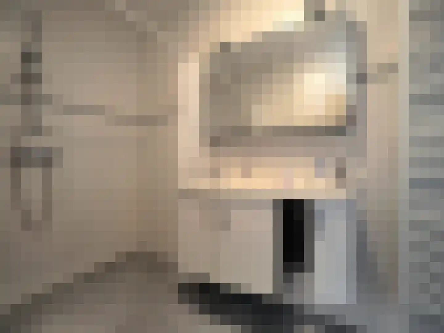 Slobbengorsweg 117 Papendrecht thumbnail 43