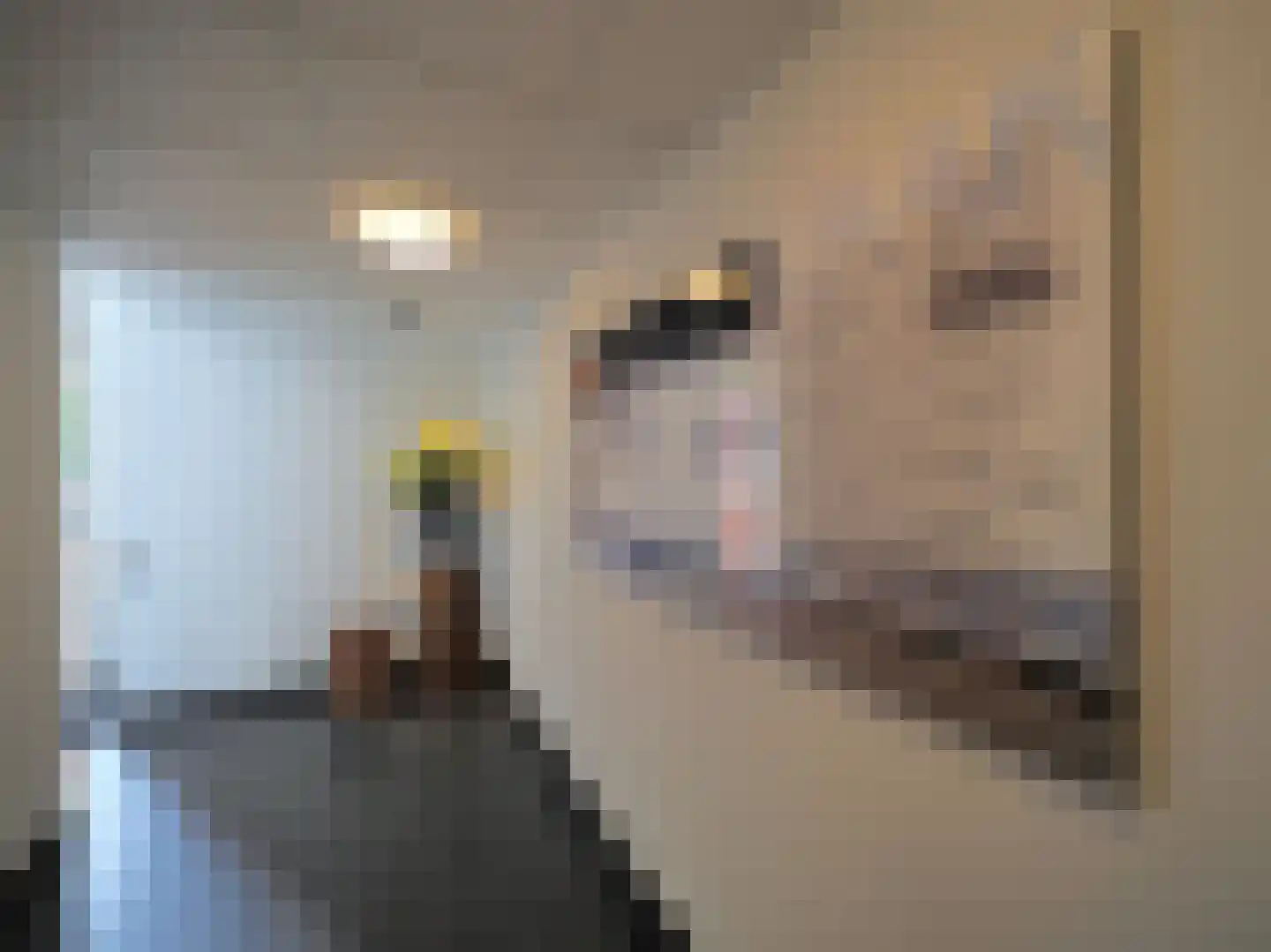 Slobbengorsweg 117 Papendrecht thumbnail 51