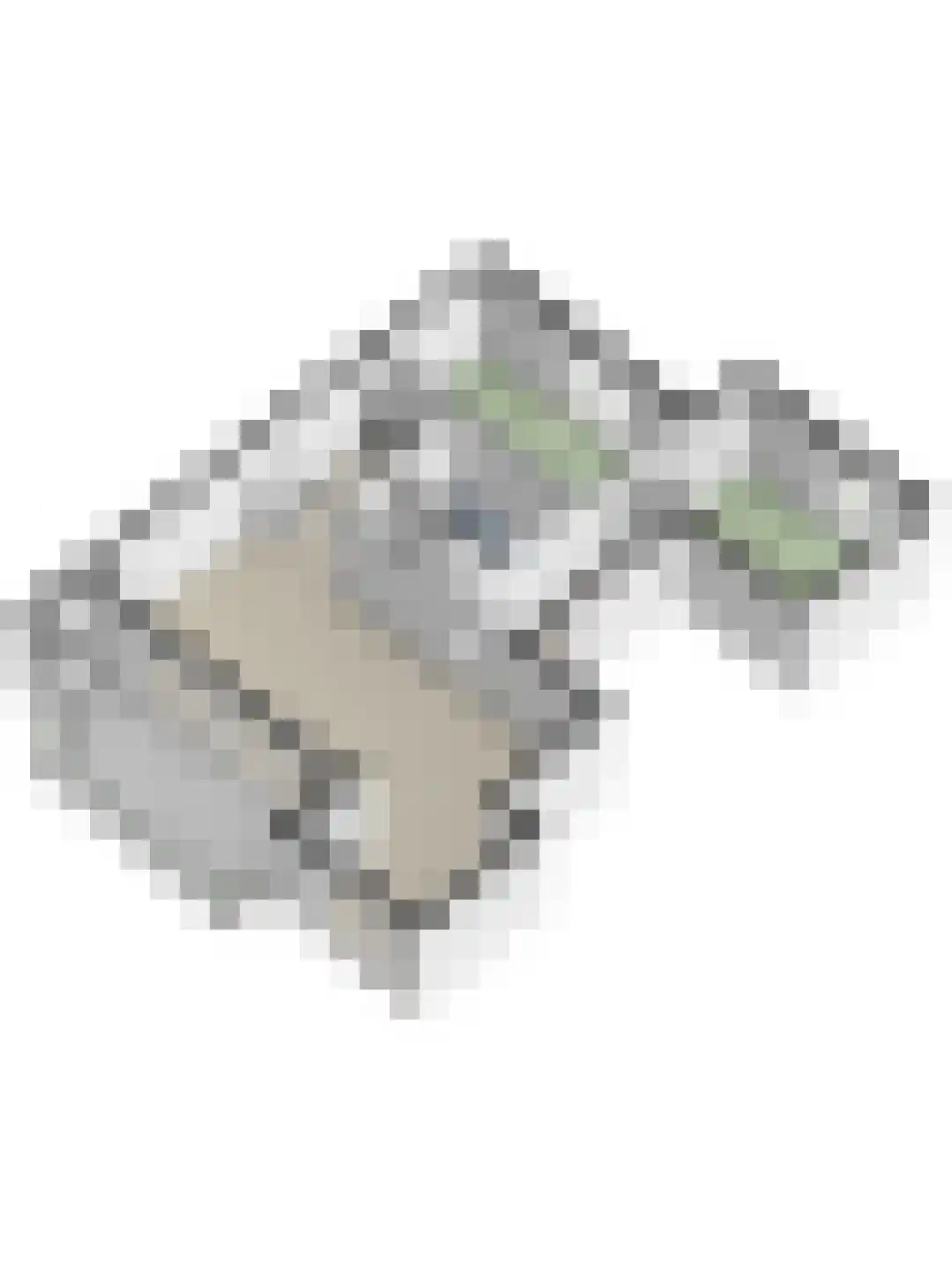 Slobbengorsweg 117 Papendrecht thumbnail 56