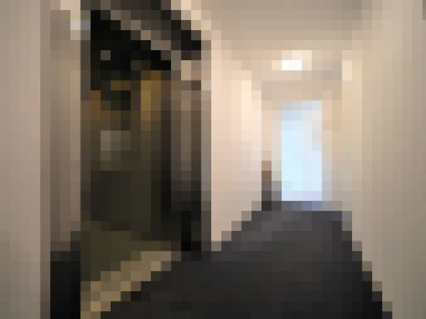 Slobbengorsweg 117 Papendrecht thumbnail 8