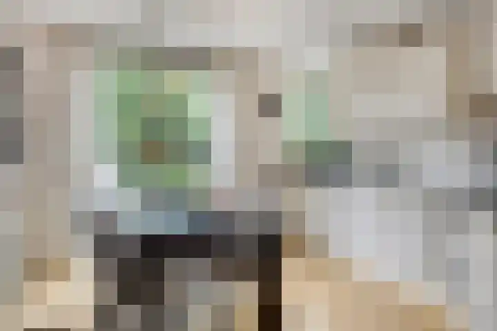 Slobeendstraat 31 Lekkerkerk thumbnail 12