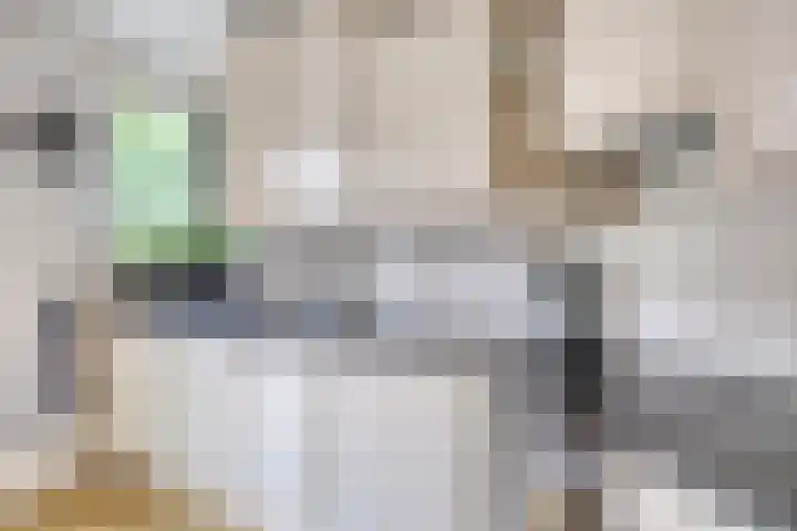 Slobeendstraat 31 Lekkerkerk thumbnail 13