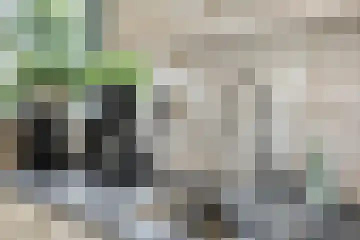 Slobeendstraat 31 Lekkerkerk thumbnail 14