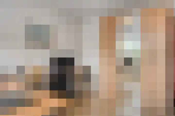 Slobeendstraat 31 Lekkerkerk thumbnail 26