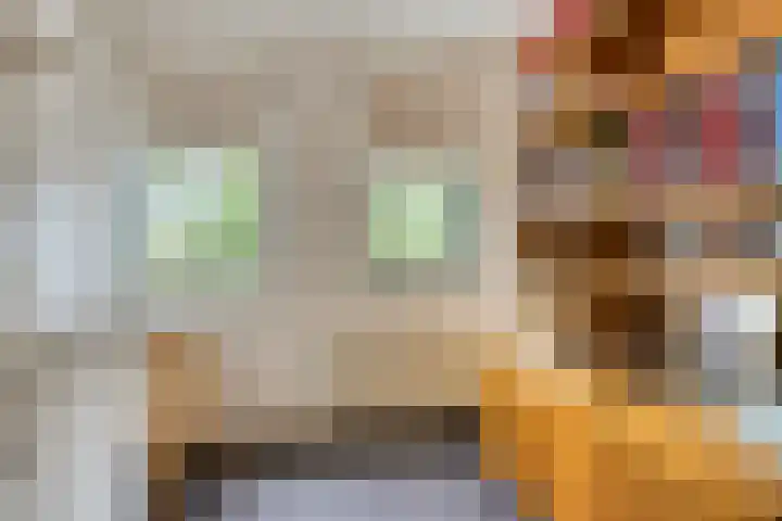 Slobeendstraat 31 Lekkerkerk thumbnail 27