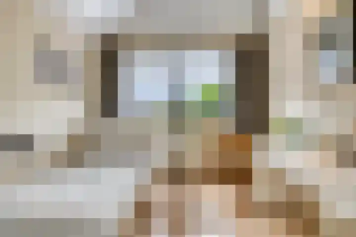 Slobeendstraat 31 Lekkerkerk thumbnail 29