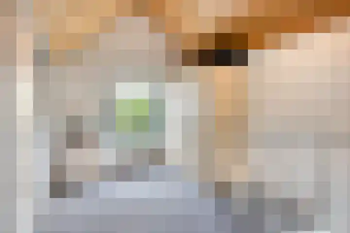 Slobeendstraat 31 Lekkerkerk thumbnail 30