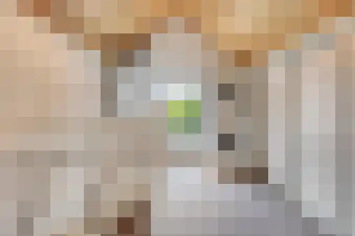 Slobeendstraat 31 Lekkerkerk thumbnail 31