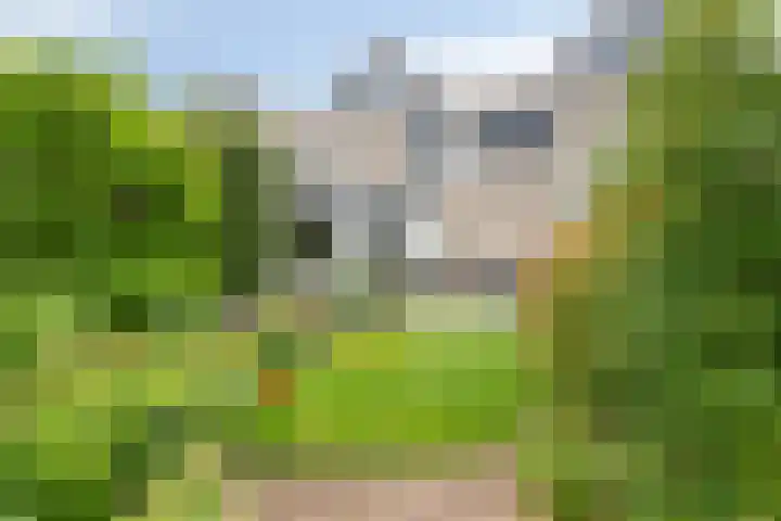 Slobeendstraat 31 Lekkerkerk thumbnail 32