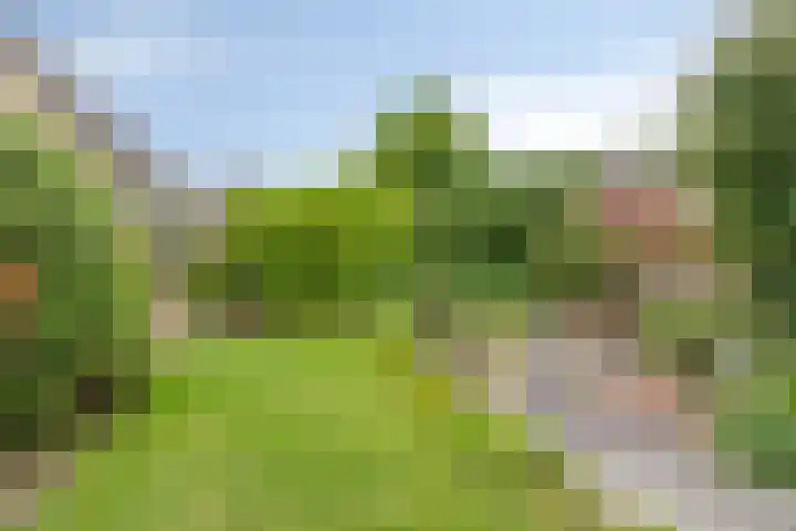 Slobeendstraat 31 Lekkerkerk thumbnail 37