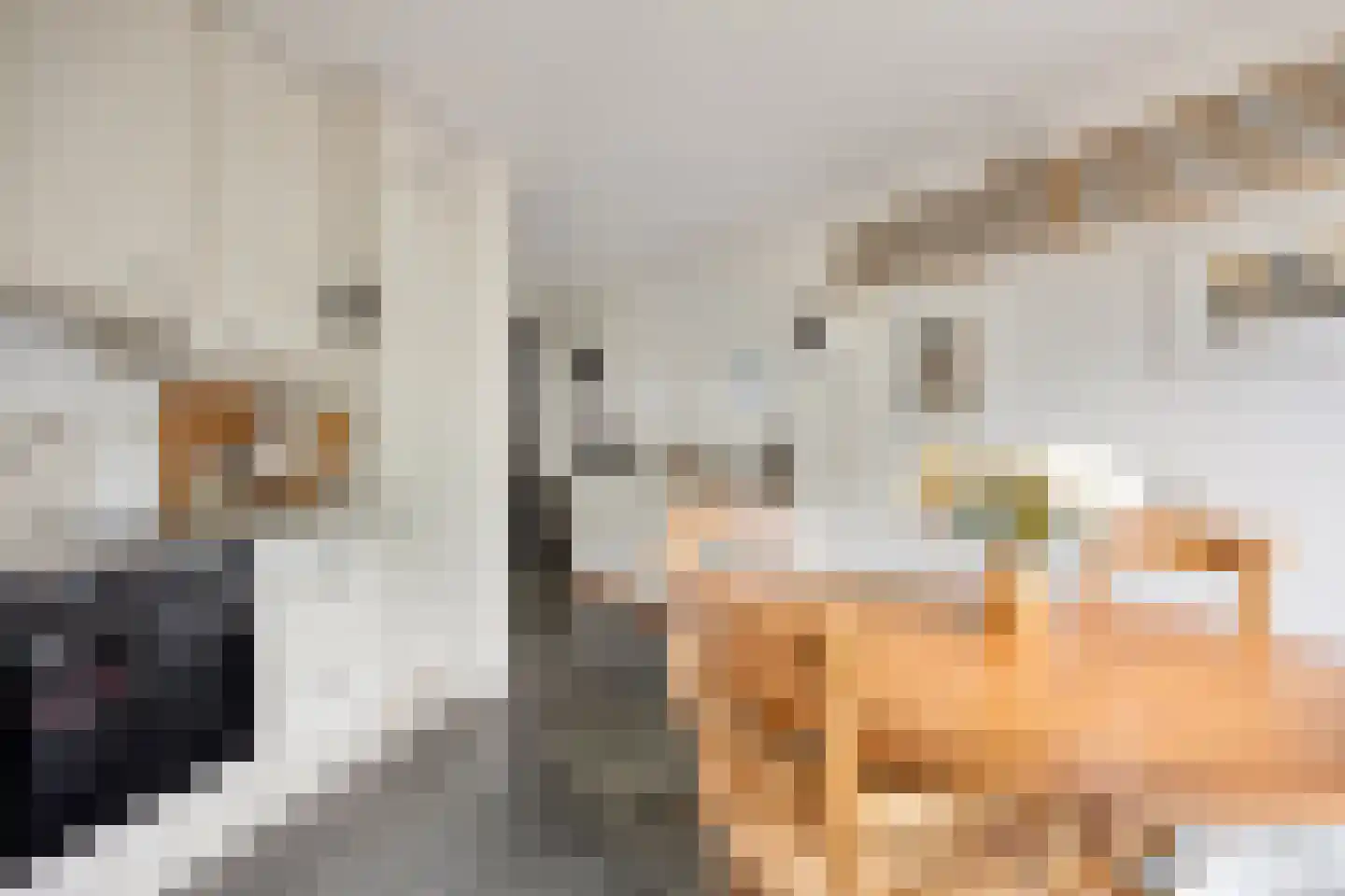 Slobeendstraat 35 Lekkerkerk thumbnail 11