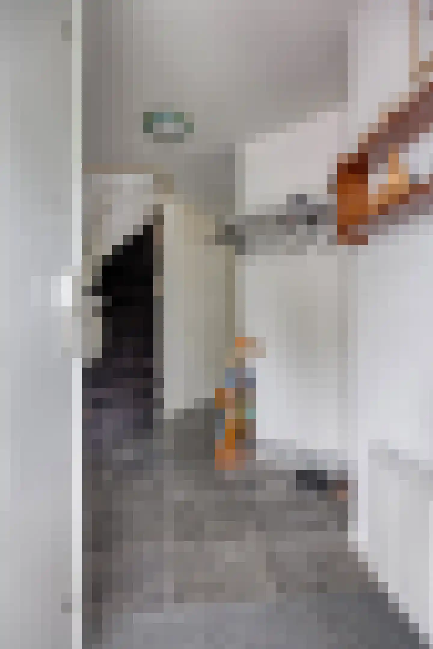 Slobeendstraat 35 Lekkerkerk thumbnail 12