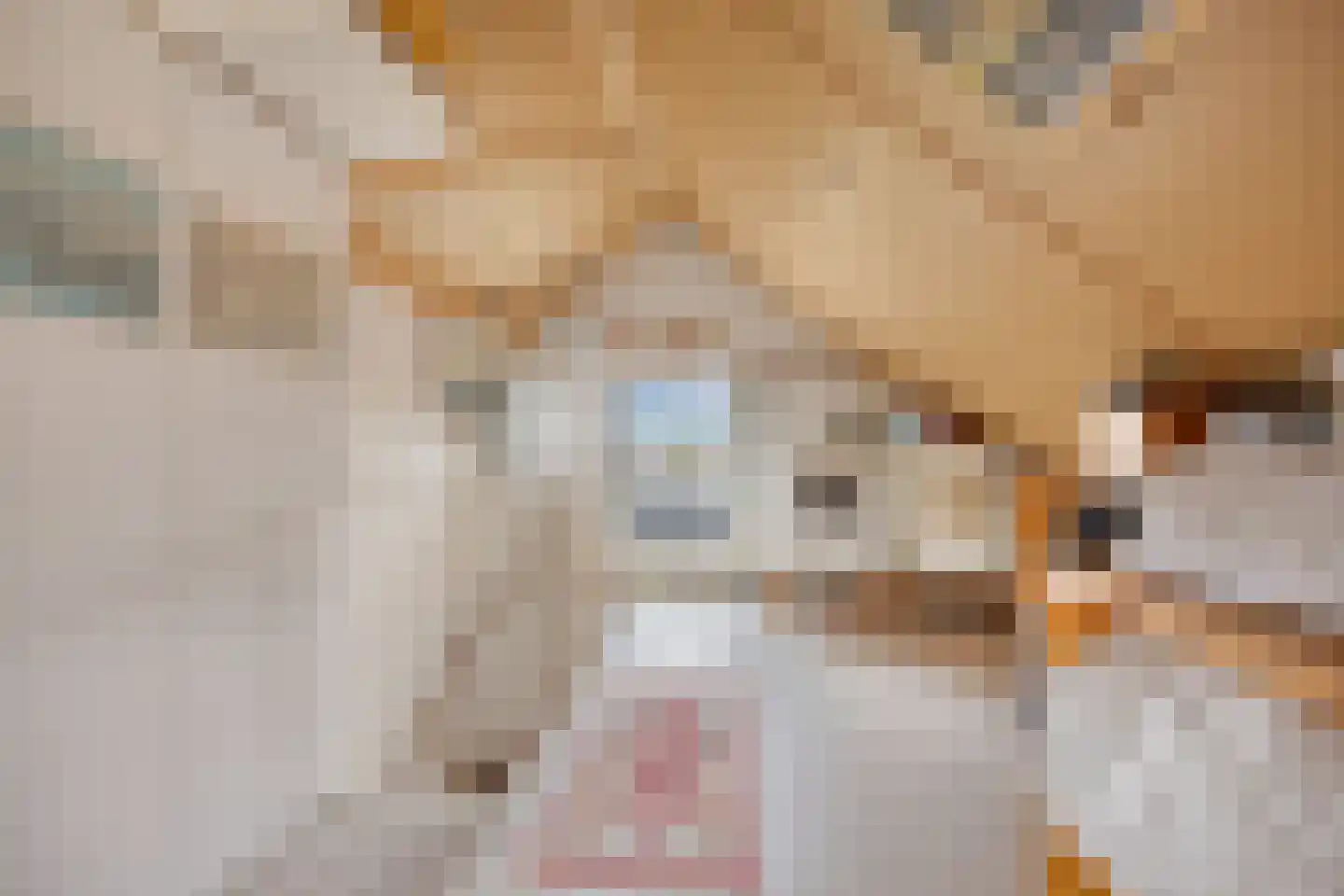 Slobeendstraat 35 Lekkerkerk thumbnail 25