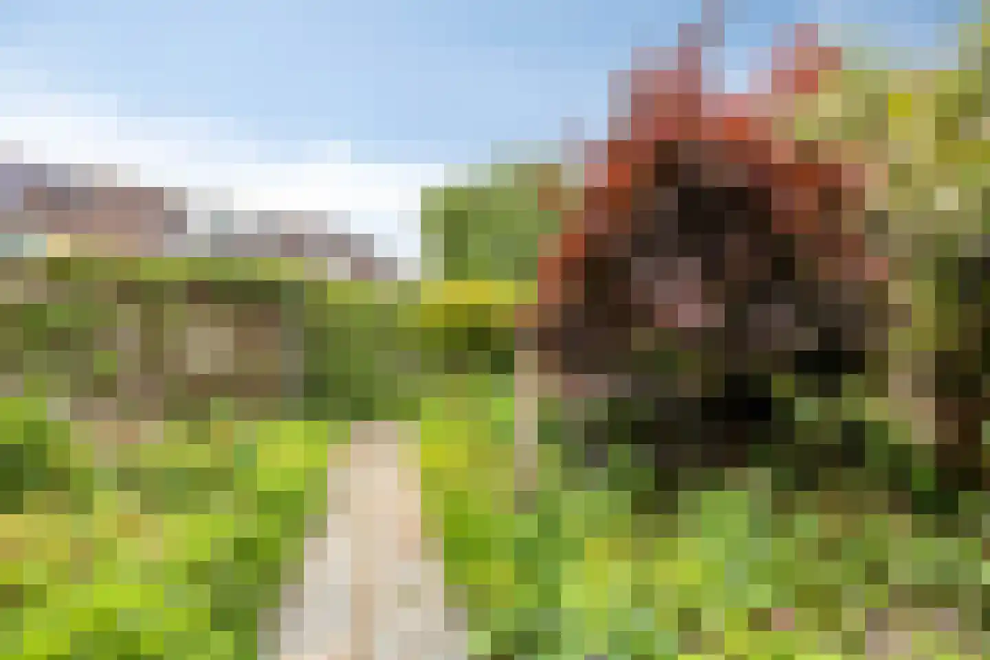Slobeendstraat 35 Lekkerkerk thumbnail 27