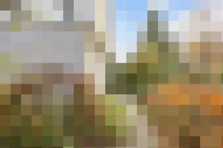 Slochterdiep 15 Slochteren thumbnail 17