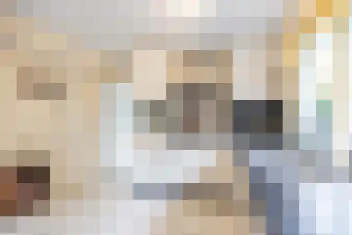 Slochterdiep 15 Slochteren thumbnail 41