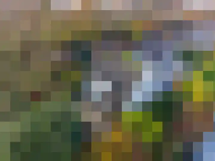 Slochterdiep 15 Slochteren thumbnail 5