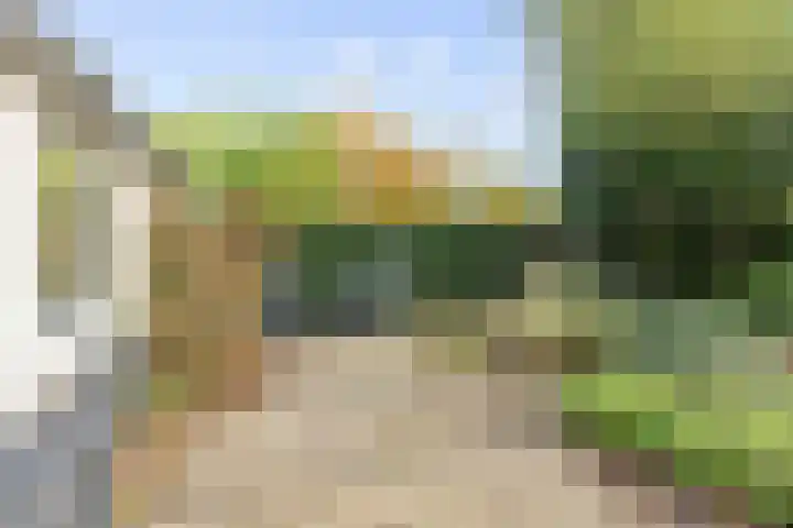 Slochterdiep 15 Slochteren thumbnail 68