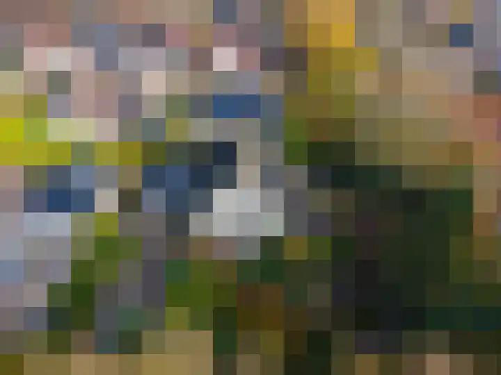 Slochterdiep 15 Slochteren thumbnail 7