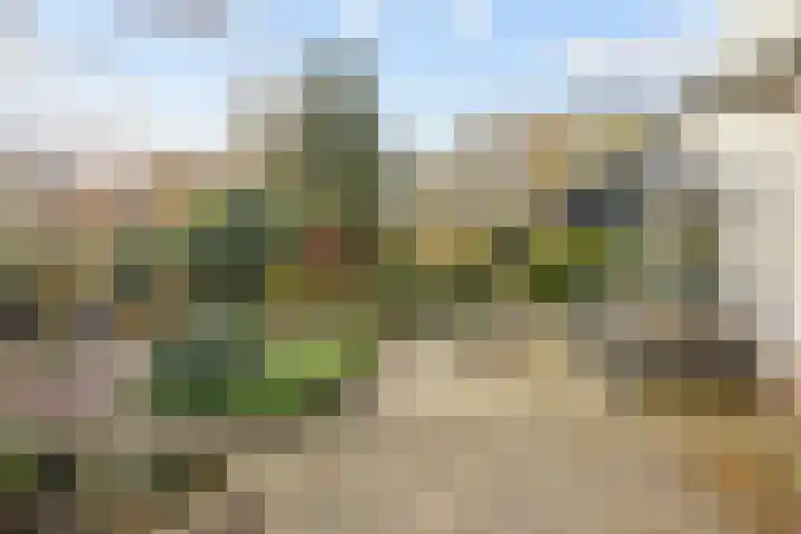 Slochterdiep 15 Slochteren thumbnail 73
