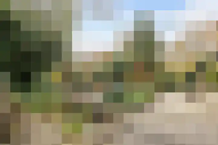 Slochterdiep 15 Slochteren thumbnail 74