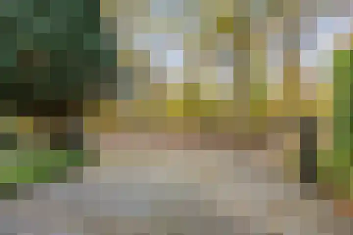 Slochterdiep 15 Slochteren thumbnail 82