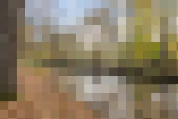 Slochterdiep 15 Slochteren thumbnail 84