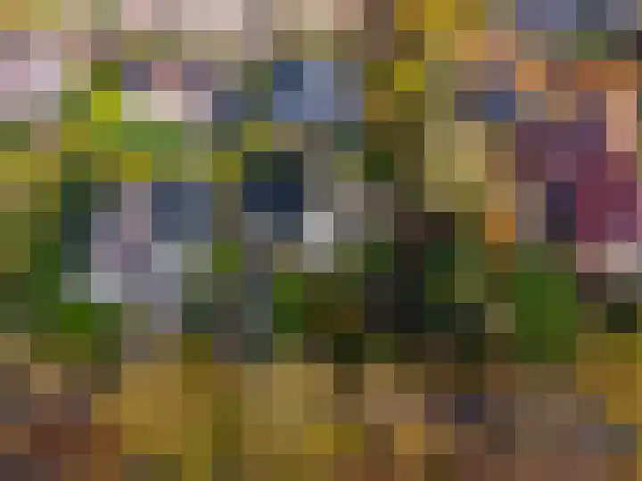 Slochterdiep 15 Slochteren thumbnail 9