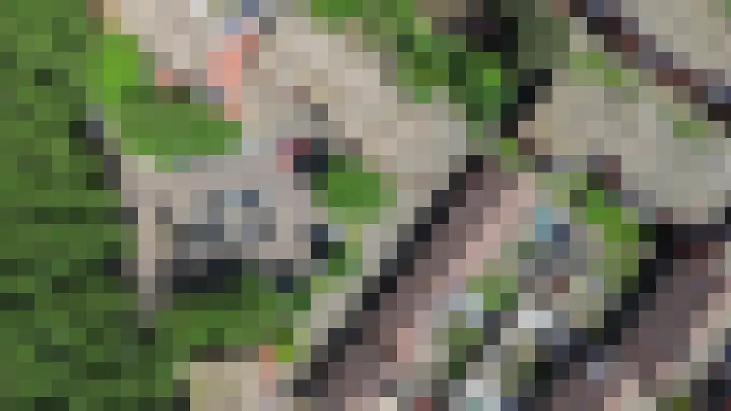 Slochterdiep 15 Zaandam thumbnail 38