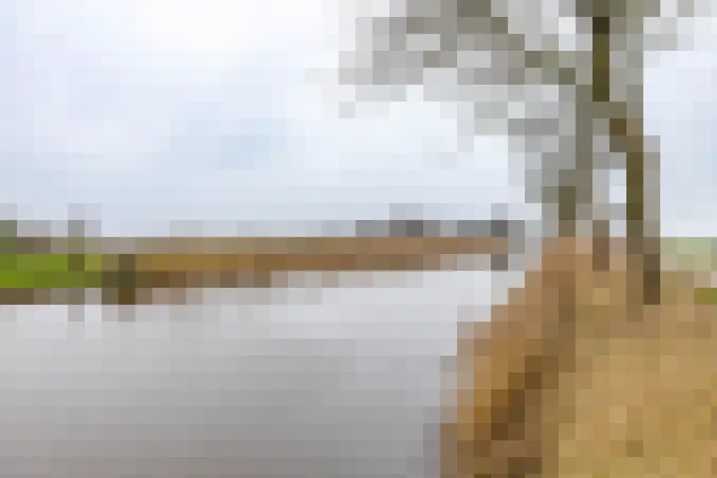 Slochterdiep 4 Scharmer thumbnail 10