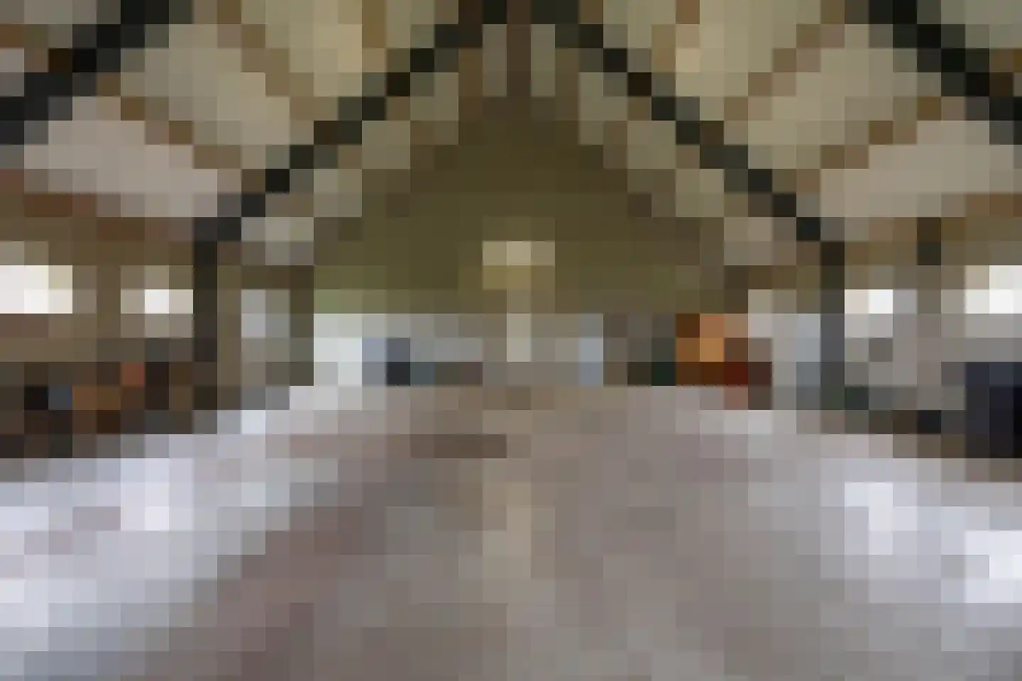 Slochterdiep 4 Scharmer thumbnail 35
