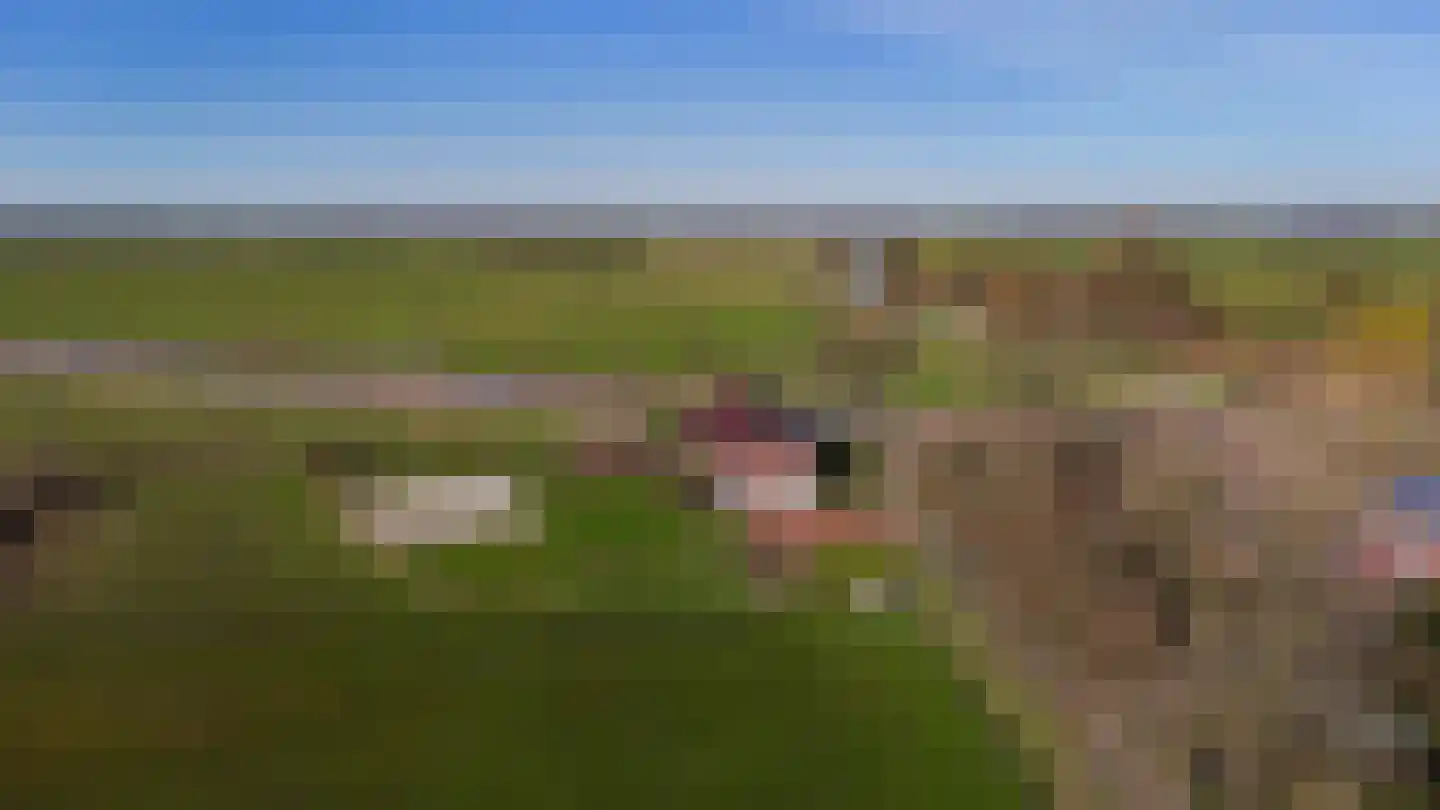 Slochterdiep 4 Scharmer thumbnail 54