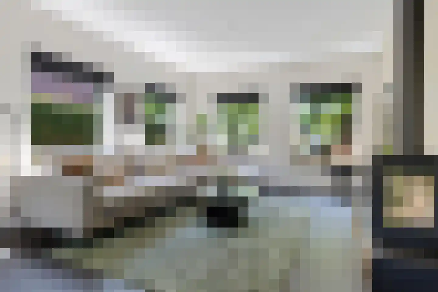 Slochterdijk 20 Froombosch thumbnail 11