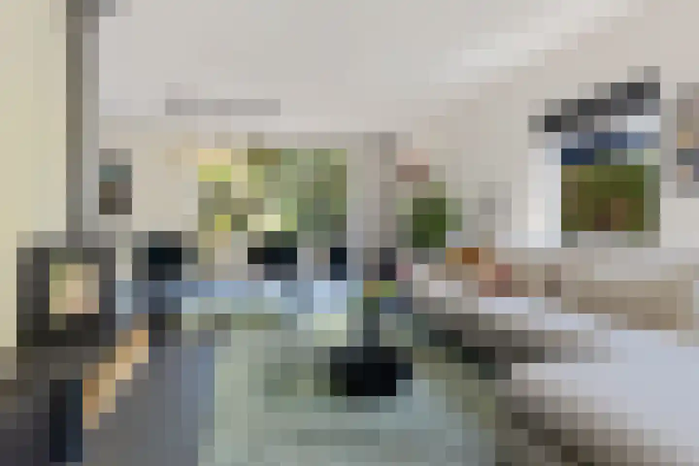 Slochterdijk 20 Froombosch thumbnail 13