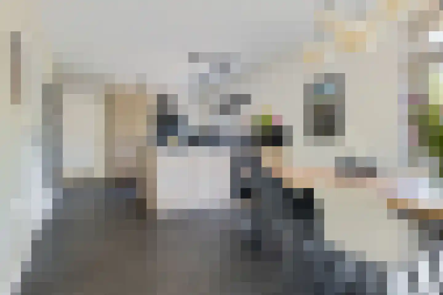 Slochterdijk 20 Froombosch thumbnail 17