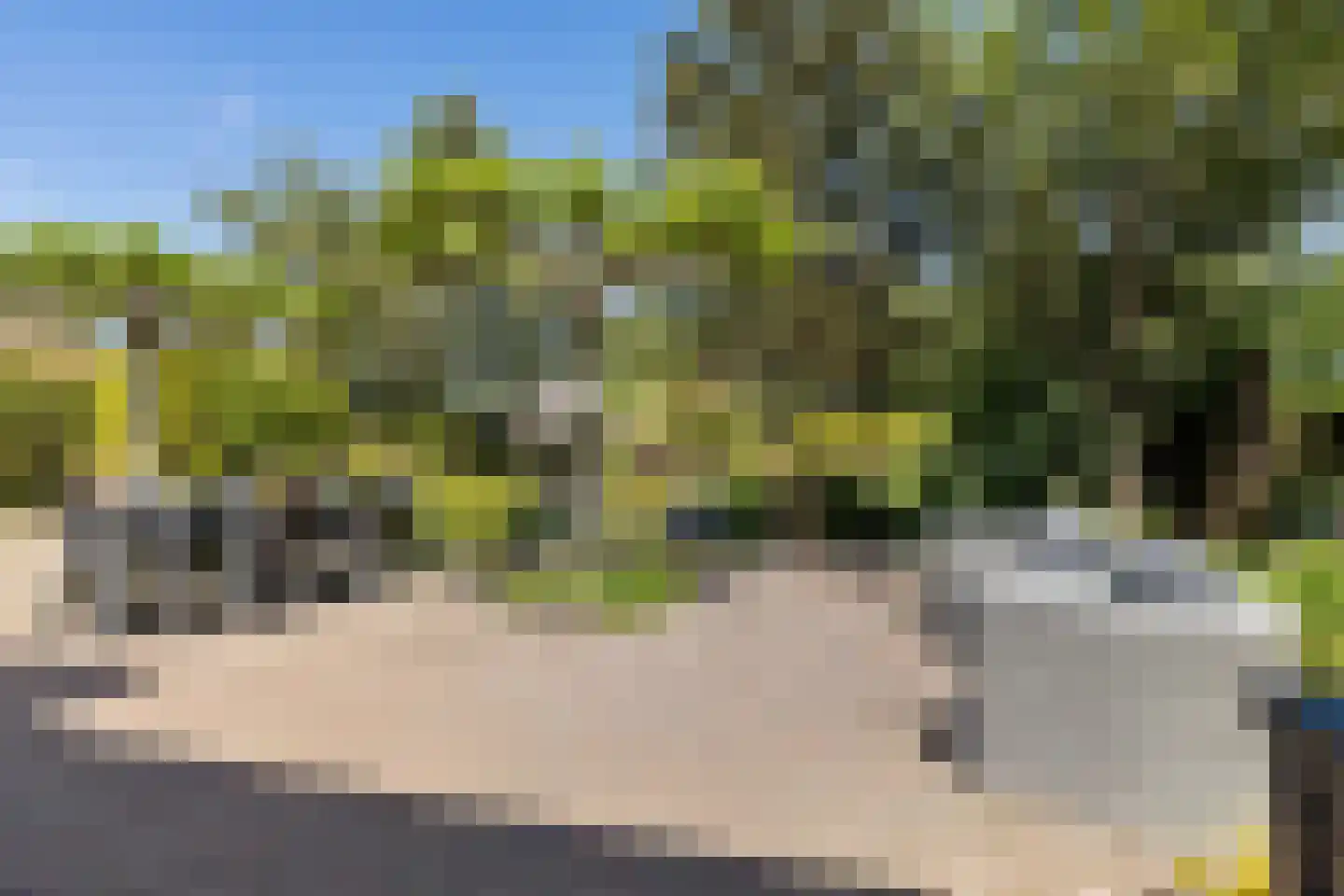 Slochterdijk 20 Froombosch thumbnail 37