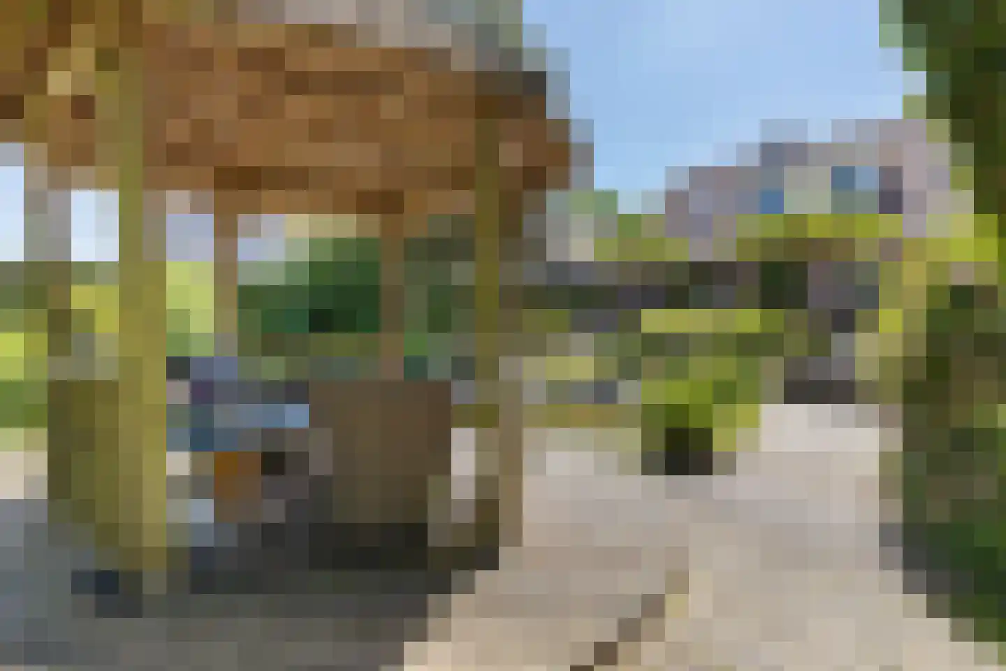 Slochterdijk 20 Froombosch thumbnail 40