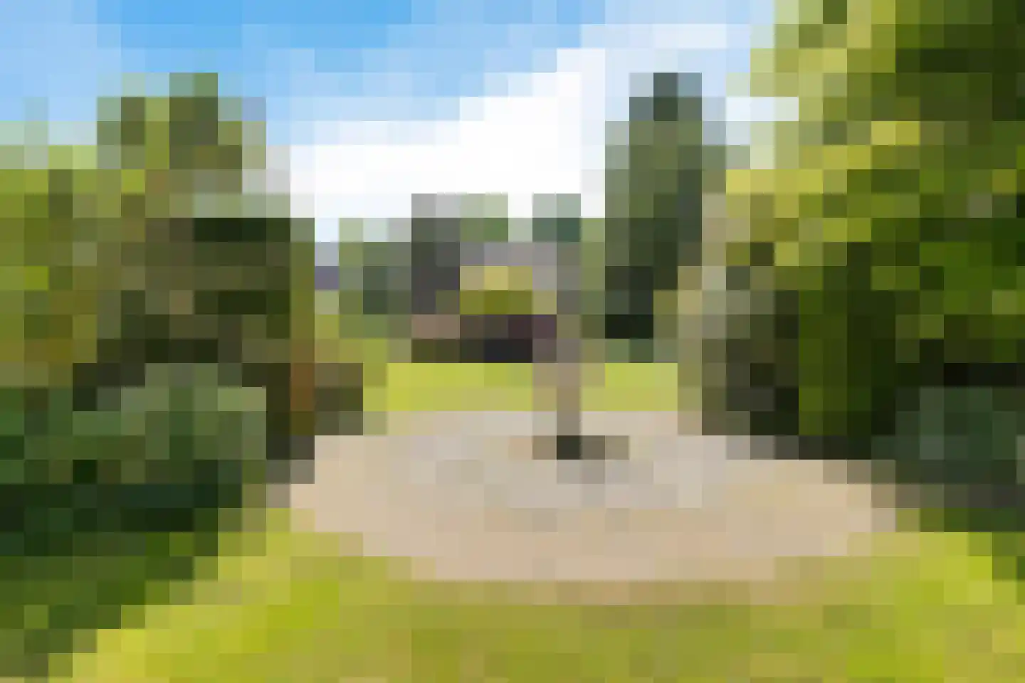 Slochterdijk 20 Froombosch thumbnail 42
