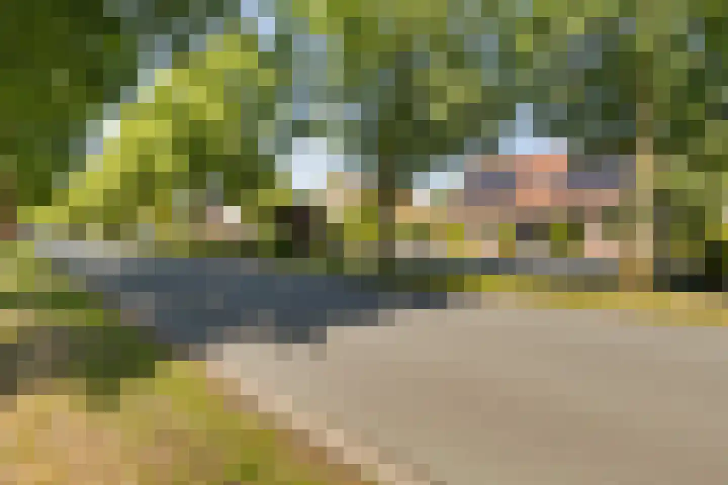 Slochterdijk 20 Froombosch thumbnail 48