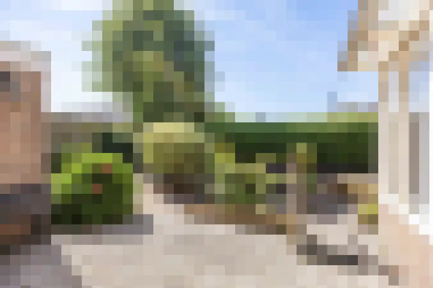 Slochtermeenteweg 10 Slochteren thumbnail 39