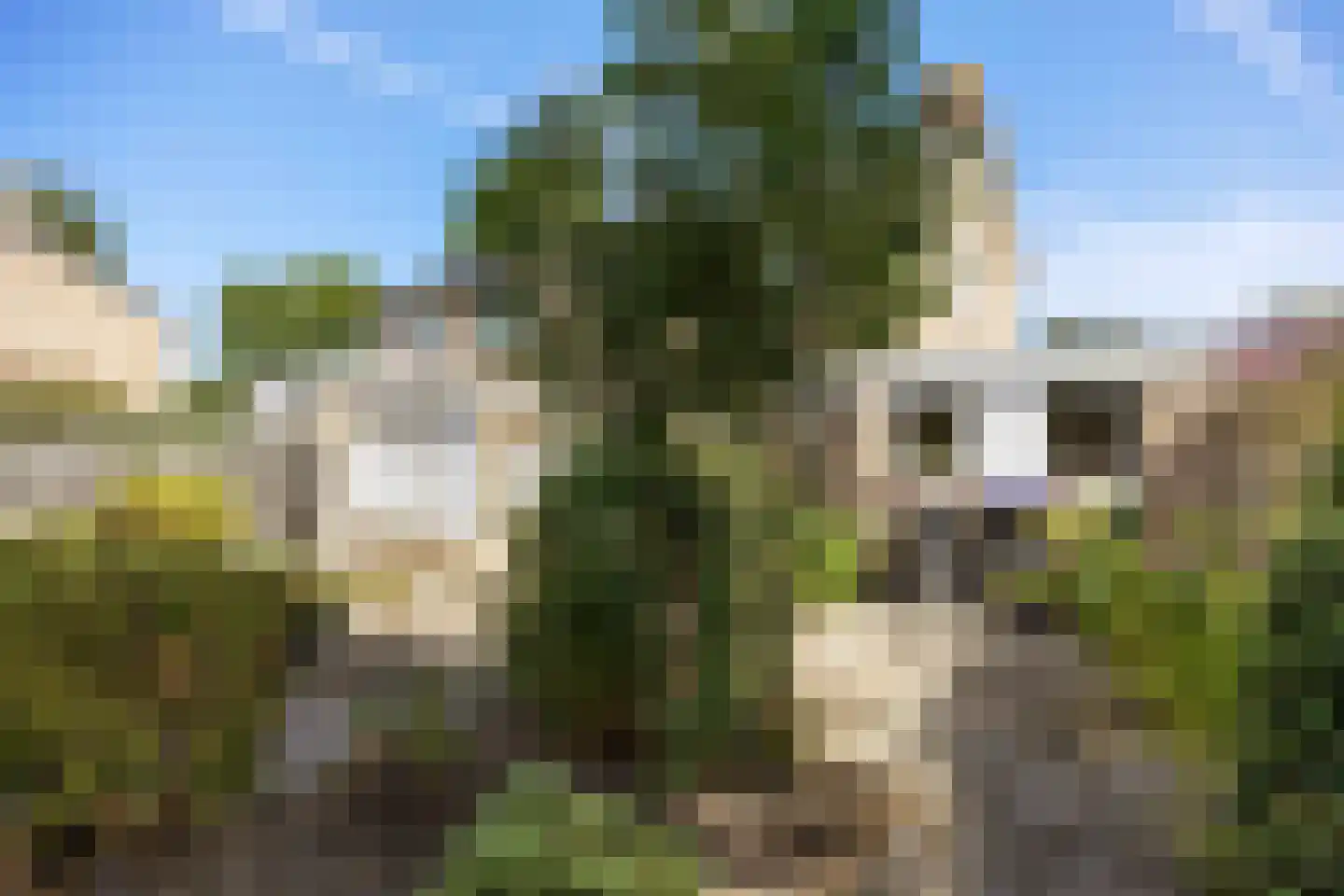 Slochtermeenteweg 10 Slochteren thumbnail 42