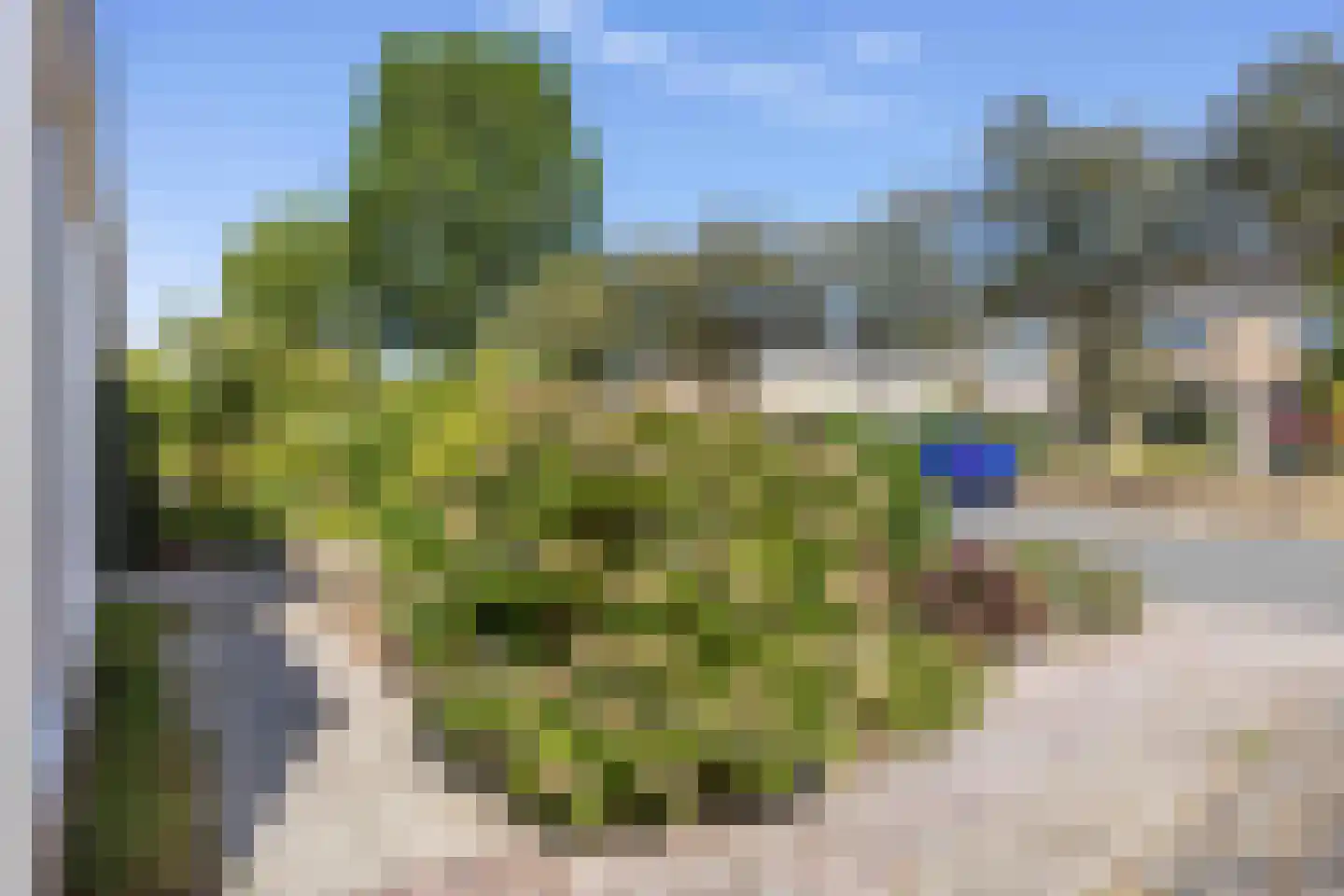 Slochtermeenteweg 10 Slochteren thumbnail 5