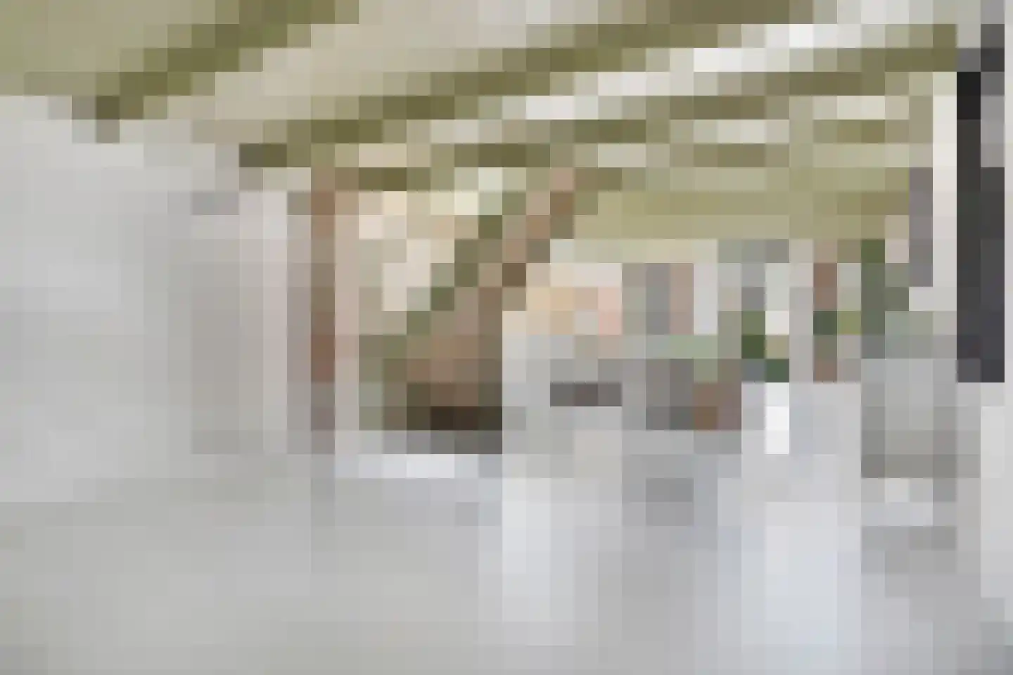 Slochterstraat 164 Sappemeer thumbnail 10